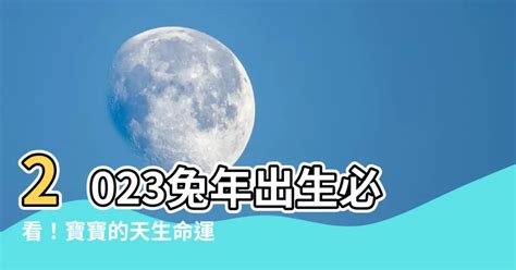 2023兔年出生